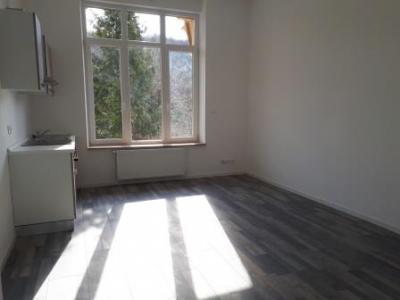 Annonce Location 2 pi�ces Appartement Rehon 54