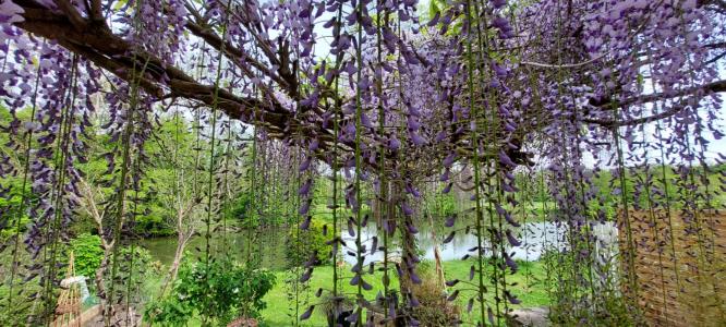 For sale Conflandey 4 rooms 180 m2 Haute saone (70170) photo 0