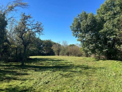 Acheter Maison 200 m2 Causse-et-diege