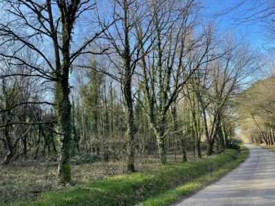 Annonce Vente Terrain Guer 56