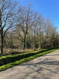 Acheter Terrain Guer Morbihan