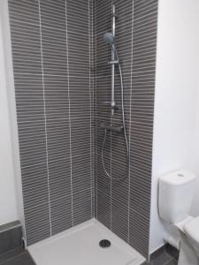 Annonce Location 2 pi�ces Appartement Isle-d'abeau 38