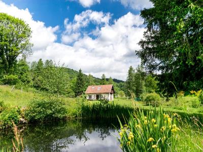 For sale Melisey 5 rooms 87 m2 Haute saone (70270) photo 1