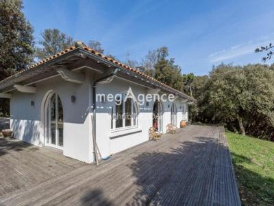 Acheter Prestige Saint-georges-de-didonne Charente maritime