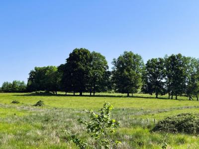 Acheter Maison 351 m2 Vayres