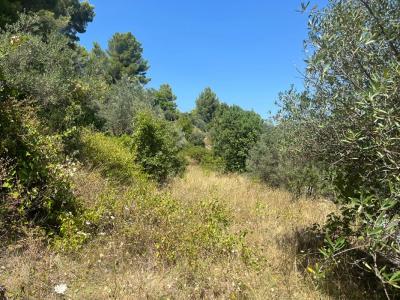 Acheter Terrain 5626 m2 Chateaudouble