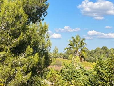 For sale Teyran 6 rooms 168 m2 Herault (34820) photo 0