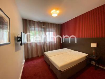 Annonce Location 2 pi�ces Appartement Grenoble 38