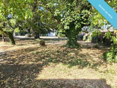 Annonce Vente Terrain Peujard 33