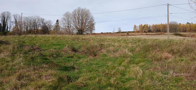 Annonce Vente 6 pi�ces Maison Longine 70