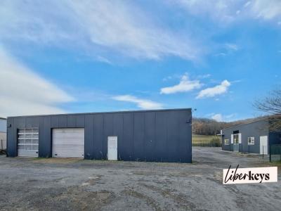 Annonce Vente Commerce Lavaur 81