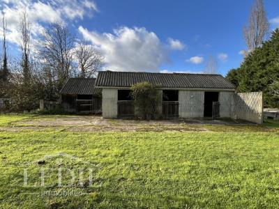 Acheter Maison 224 m2 Condom