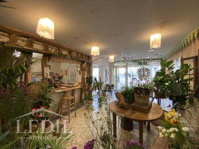 Annonce Vente Commerce Vic-fezensac 32