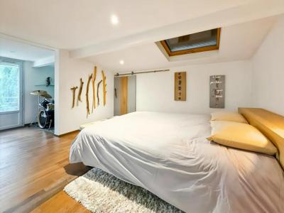 Acheter Maison Chavanoz 570000 euros