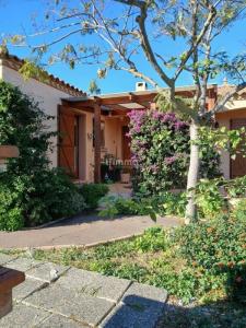 Acheter Maison Palme 386000 euros