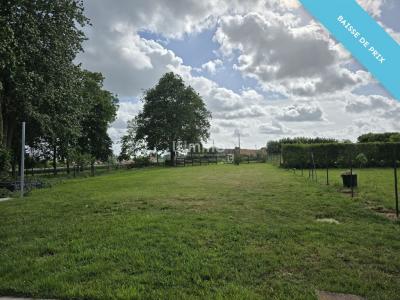 Annonce Vente 4 pi�ces Maison Queant 62