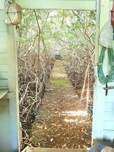 Acheter Immeuble Vauclin 778000 euros