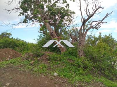 Annonce Vente Terrain Saint-paul 974