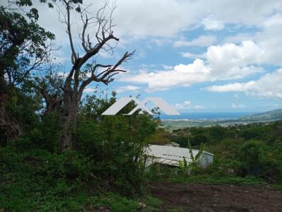 Acheter Terrain 400 m2 Saint-paul