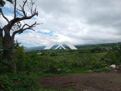 Acheter Terrain Saint-paul Reunion