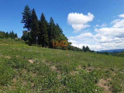 Annonce Vente Terrain Monestier 63