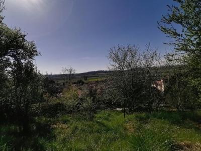 Acheter Maison 192 m2 Luzinay