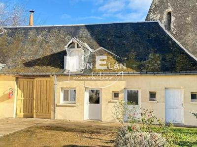 Acheter Maison 420 m2 Chateau-du-loir