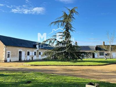 Acheter Maison Chateau-du-loir Sarthe