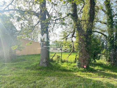 Acheter Terrain 429 m2 Cellier