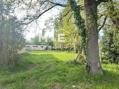 Acheter Terrain Cellier Loire atlantique