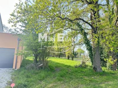 Acheter Terrain Cellier 90000 euros