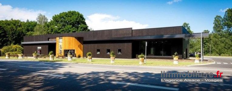 Annonce Vente Commerce Chatenois 67