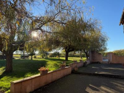 Acheter Maison 342 m2 Orsans