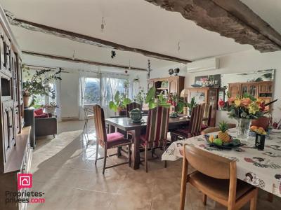 Annonce Vente 9 pi�ces Maison Senestis 47