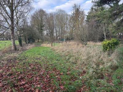 Acheter Terrain Salouel 409500 euros