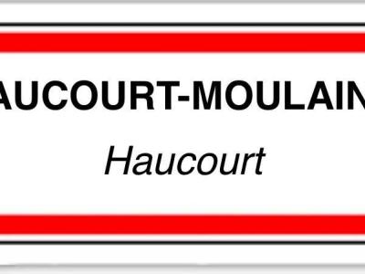 Annonce Vente Terrain Haucourt-moulaine 54