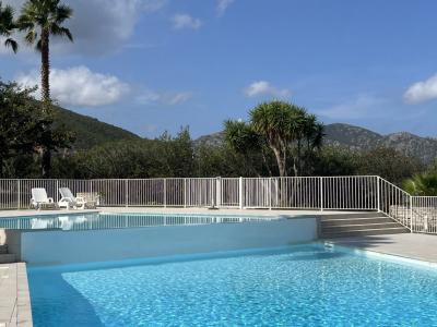 Annonce Vente Appartement Saint-florent 20