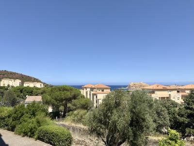 Annonce Vente Appartement Ile-rousse 20