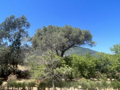 Annonce Vente 3 pi�ces Appartement Ajaccio 20