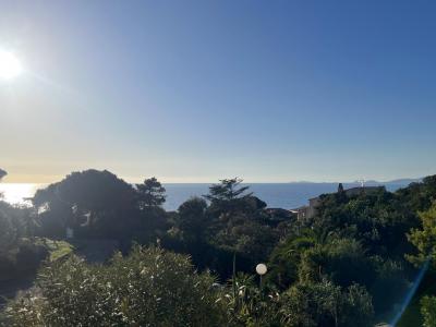 Annonce Vente 3 pi�ces Appartement Pietrosella 20