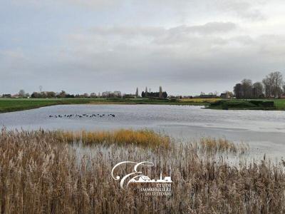 For sale Watten Nord (59143) photo 3