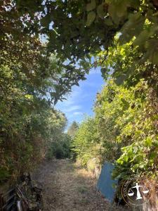 Acheter Terrain Louches