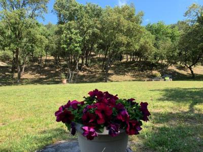 Acheter Maison 155 m2 Pujaut