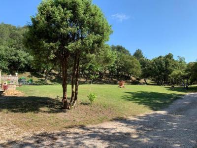 Acheter Maison Pujaut Gard