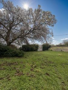 Annonce Vente 4 pi�ces Maison Louvilliers-en-drouais 28