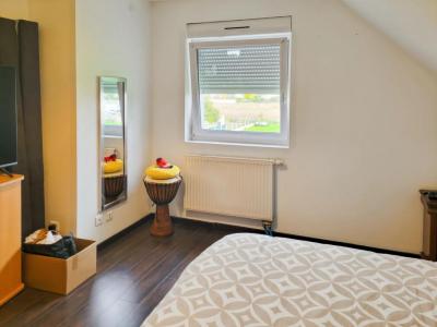 Acheter Maison Bantzenheim 335000 euros
