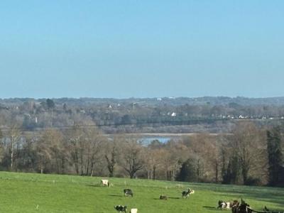 Acheter Maison Plomelin 375000 euros