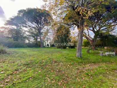 Acheter Commerce 470 m2 Toulouse