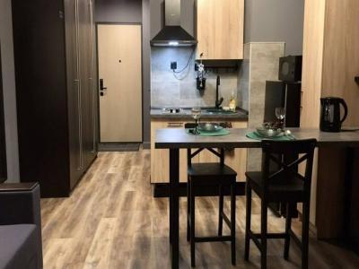 For rent Strasbourg 1 room 20 m2 Bas rhin (67000) photo 0