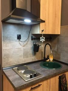 Louer Appartement 20 m2 Strasbourg